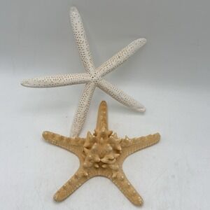Lot of 2 Natural Starfish Finger Knobby Sea Stars Coastal Beach Nautical Decor